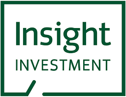 Investment Insights
